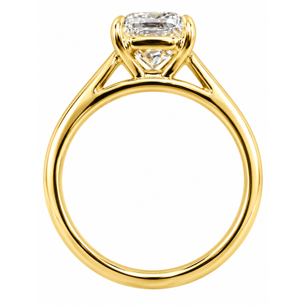 Engagement Rings Image 2 Ace Of Diamonds Mount Pleasant, MI