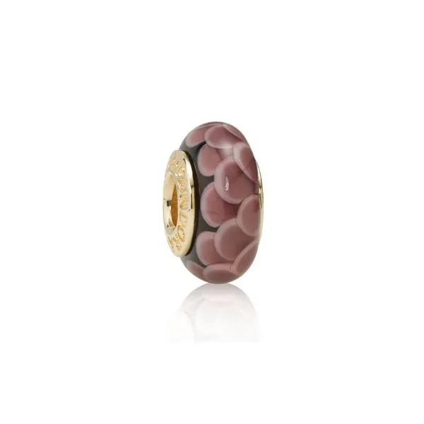 Pandora similar item image