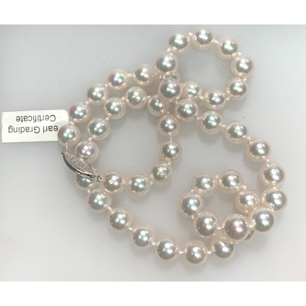 14K White Gold High Luster Akoya Pearl Necklace Image 2 Ace Of Diamonds Mount Pleasant, MI