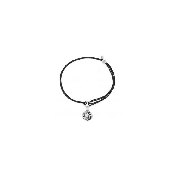 Alex and Ani Charm Bracelets, Earrings, Necklaces Ace Of Diamonds Mount Pleasant, MI