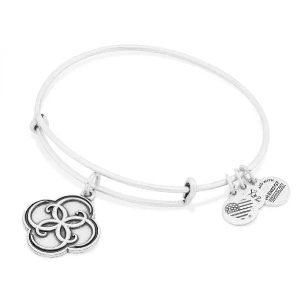 Alex and Ani Charm Bracelets, Earrings, Necklaces Ace Of Diamonds Mount Pleasant, MI