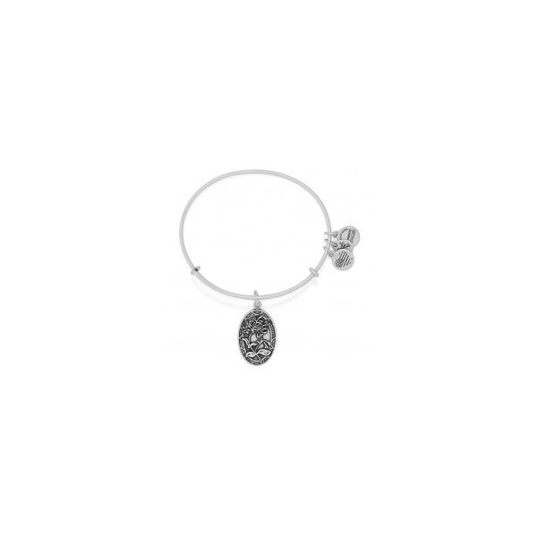 Alex and Ani Charm Bracelets, Earrings, Necklaces Ace Of Diamonds Mount Pleasant, MI