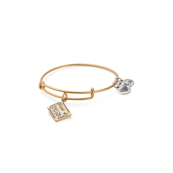 Alex and Ani Charm Bracelets, Earrings, Necklaces Ace Of Diamonds Mount Pleasant, MI