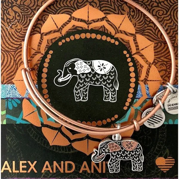 Alex and Ani Charm Bracelets, Earrings, Necklaces Ace Of Diamonds Mount Pleasant, MI