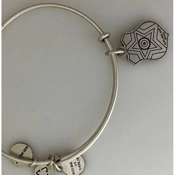 Alex and Ani Charm Bracelets, Earrings, Necklaces Image 2 Ace Of Diamonds Mount Pleasant, MI