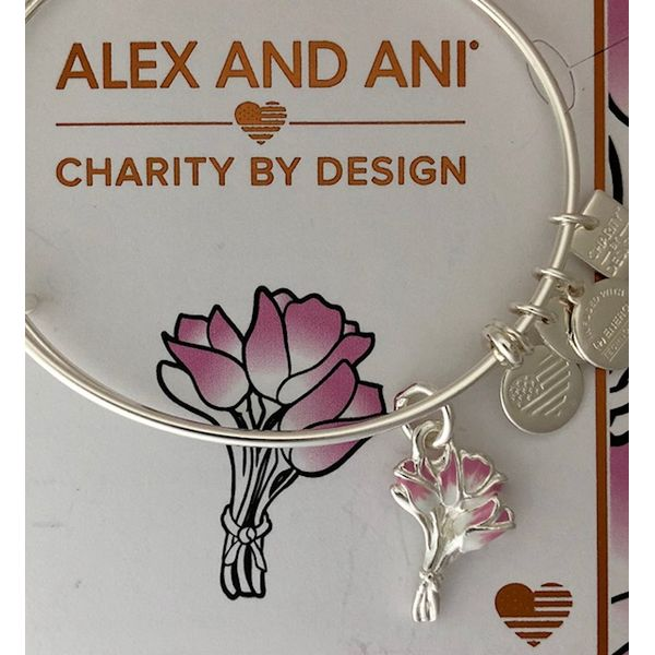 Alex and Ani Charm Bracelets, Earrings, Necklaces Ace Of Diamonds Mount Pleasant, MI