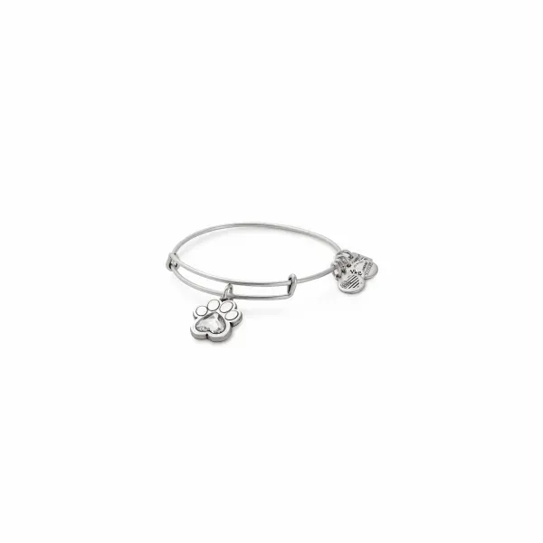 Alex and Ani Charm Bracelets, Earrings, Necklaces Ace Of Diamonds Mount Pleasant, MI