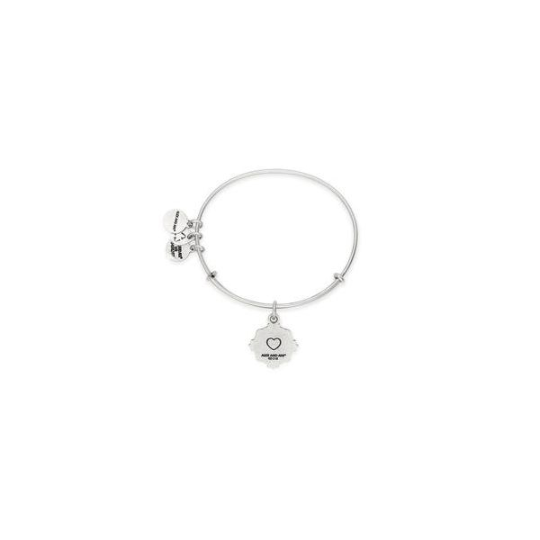 Alex and Ani Charm Bracelets, Earrings, Necklaces Ace Of Diamonds Mount Pleasant, MI