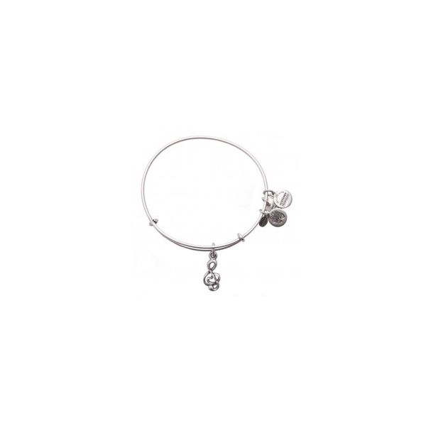 Alex and Ani Charm Bracelets, Earrings, Necklaces Ace Of Diamonds Mount Pleasant, MI