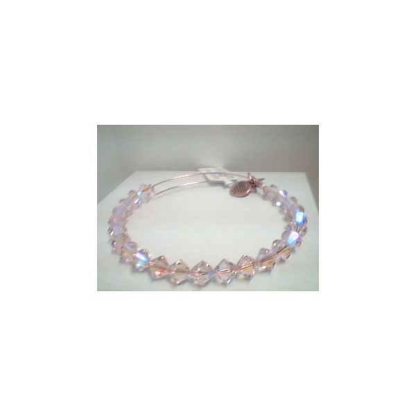 Alex and Ani Charm Bracelets, Earrings, Necklaces Ace Of Diamonds Mount Pleasant, MI