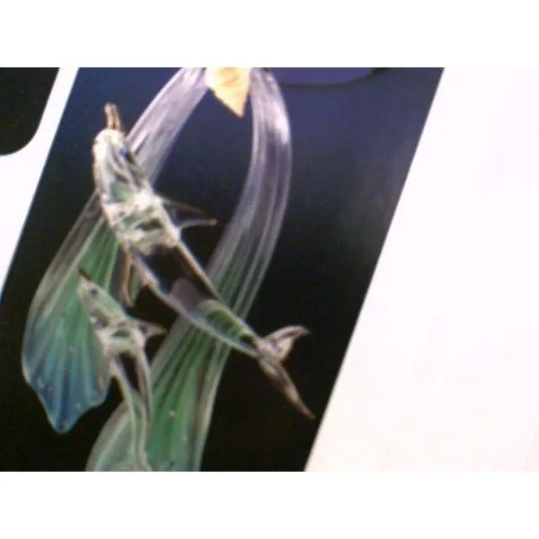 Jewelry Boxes and Trinkets similar item image