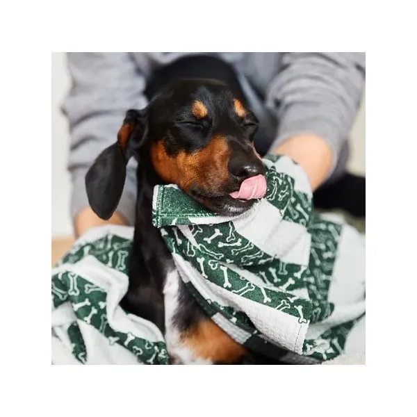 Dogs and Cats Jewelry & Gifts Ace Of Diamonds Mount Pleasant, MI