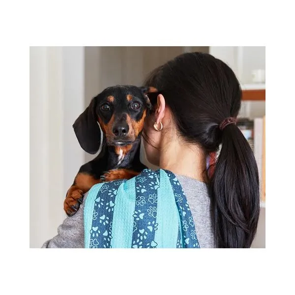 Dogs and Cats Jewelry & Gifts
