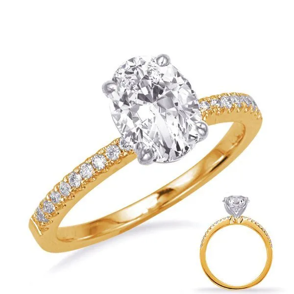 Diamond Engagement Ring Adler's Diamonds Saint Louis, MO