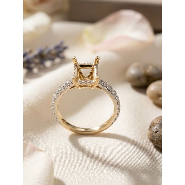 Diamond Engagement Ring Adler's Diamonds Saint Louis, MO