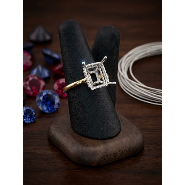 Diamond Engagement Ring Adler's Diamonds Saint Louis, MO