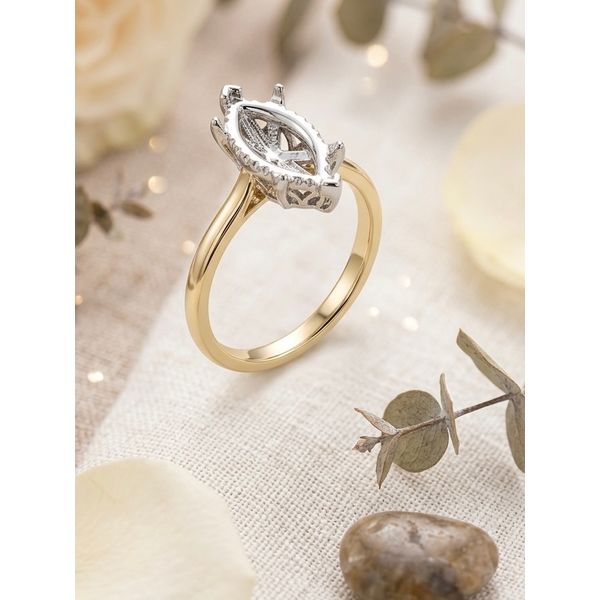 Diamond Engagement Ring Adler's Diamonds Saint Louis, MO