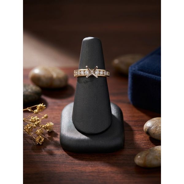 Diamond Engagement Ring Adler's Diamonds Saint Louis, MO