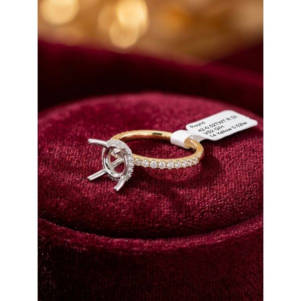 Diamond Engagement Ring Image 2 Adler's Diamonds Saint Louis, MO