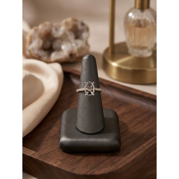 Diamond Engagement Ring Adler's Diamonds Saint Louis, MO