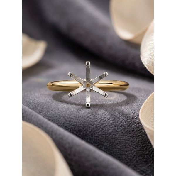 Solitaire Engagement Ring Mounting Adler's Diamonds Saint Louis, MO