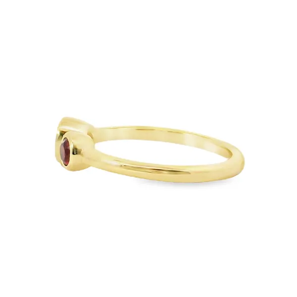 Aires Diamond and Ruby Ring Image 3 Aires Jewelers Morris Plains, NJ
