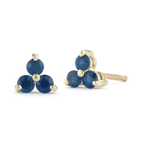 Barbela Design Sapphire Earrings Aires Jewelers Morris Plains, NJ