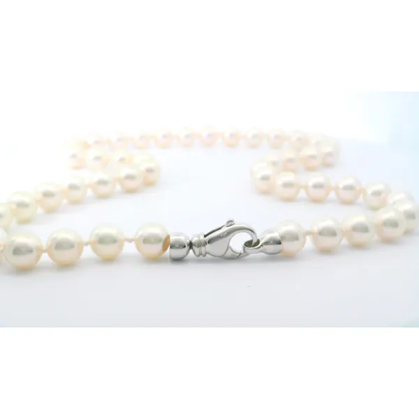 AA Quality Akoya Pearl Necklace Image 2 Aires Jewelers Morris Plains, NJ