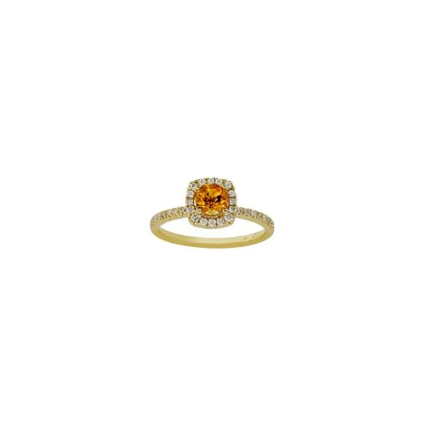 Colored Stone Fashion Ring Albert's Jewelers Kingsland, GA