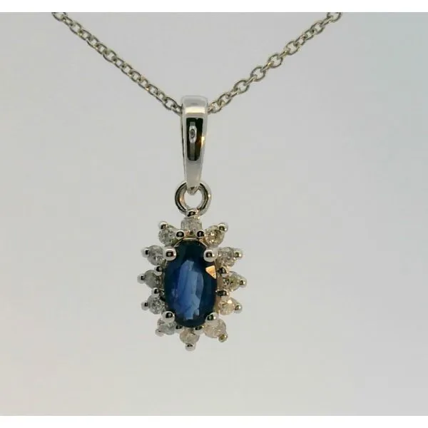 14Kt White Gold .25Ct Oval Blue Sapphire & .07Ctw Diamond Halo Pendant (Chain Not Incl.) Albert's Jewelers Kingsland, GA