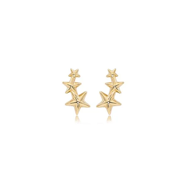 Gold Earrings Albert's Jewelers Kingsland, GA