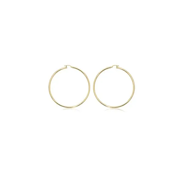 Gold Earrings Albert's Jewelers Kingsland, GA