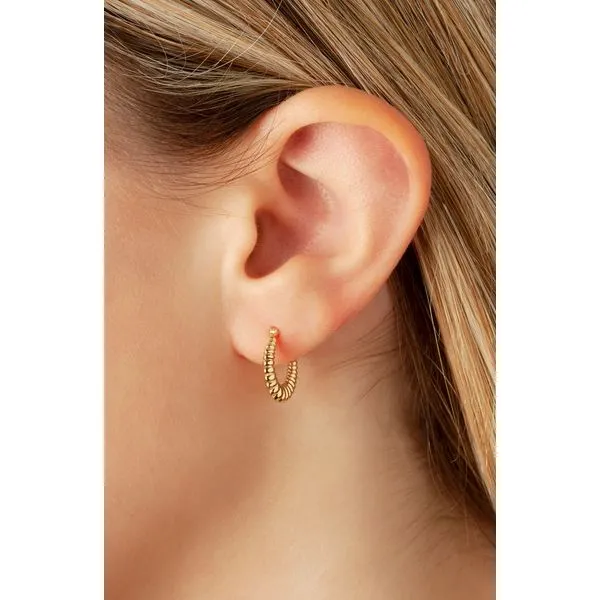 14Kt Yellow Gold Baby Shrimp Hoops Image 2 Albert's Jewelers Kingsland, GA