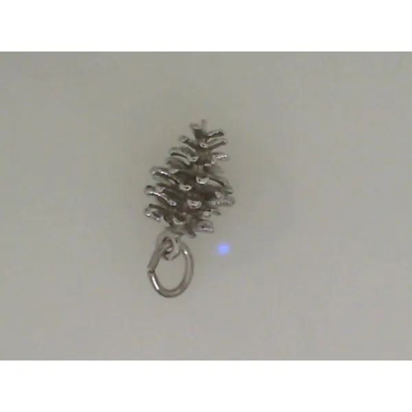 Silver Charm Albert's Jewelers Kingsland, GA