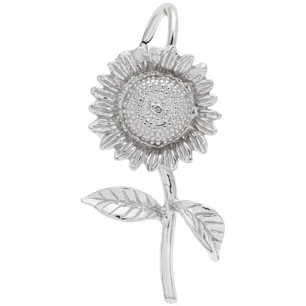 Silver Charm Albert's Jewelers Kingsland, GA