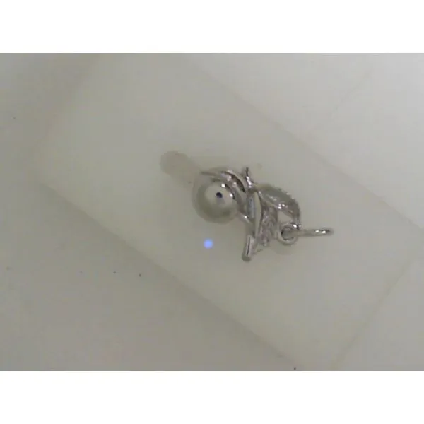 Silver Charm Albert's Jewelers Kingsland, GA