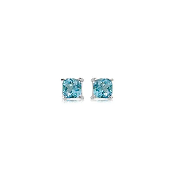Silver Earrings Albert's Jewelers Kingsland, GA