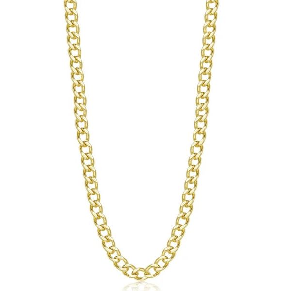 Silver Necklace Albert's Jewelers Kingsland, GA
