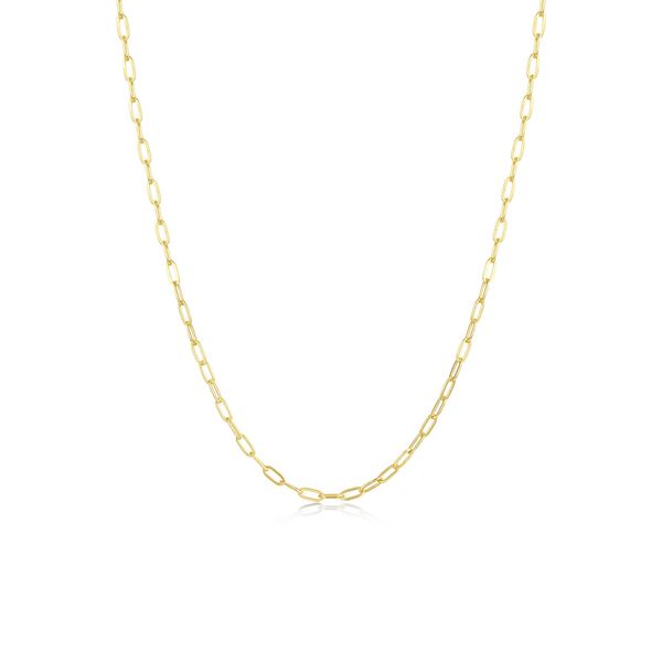 Silver Necklace Albert's Jewelers Kingsland, GA