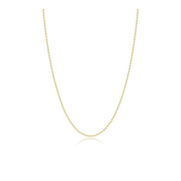 Silver Necklace Albert's Jewelers Kingsland, GA