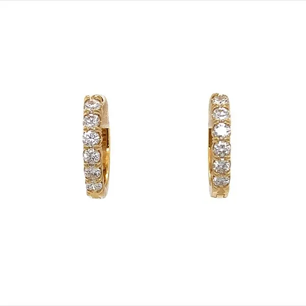 Diamond Earrings Alexander Fine Jewelers Fort Gratiot, MI