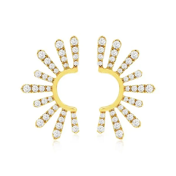 Diamond Earrings Alexander Fine Jewelers Fort Gratiot, MI