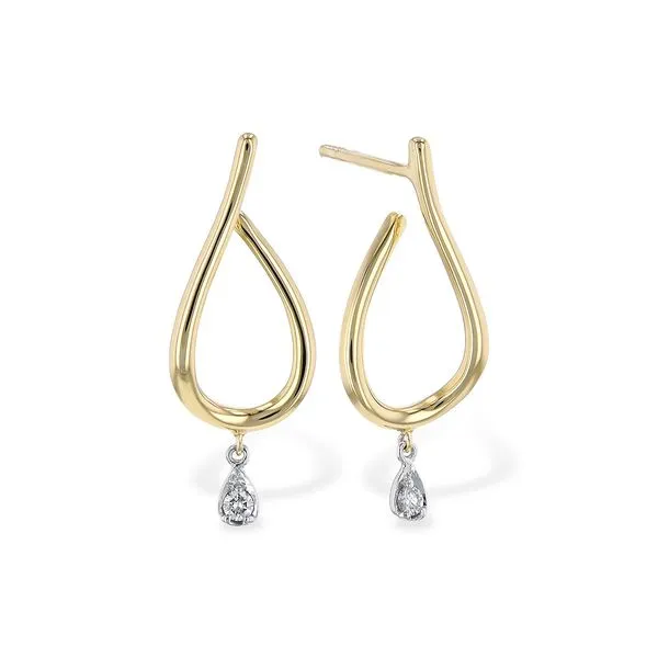 Diamond Earrings Alexander Fine Jewelers Fort Gratiot, MI