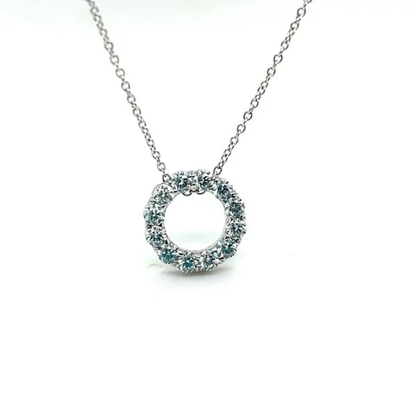 Diamond Pendant Alexander Fine Jewelers Fort Gratiot, MI