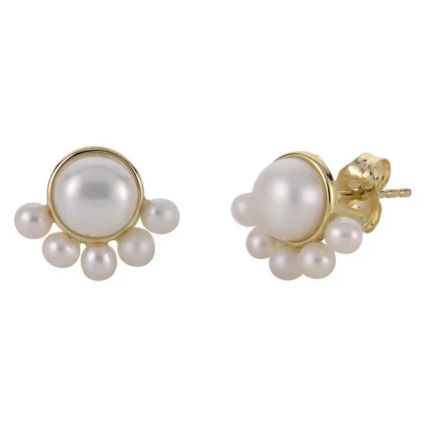 Earrings Alexander Fine Jewelers Fort Gratiot, MI