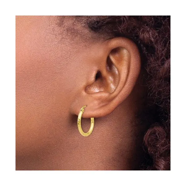 Gold Earrings Image 3 Alexander Fine Jewelers Fort Gratiot, MI