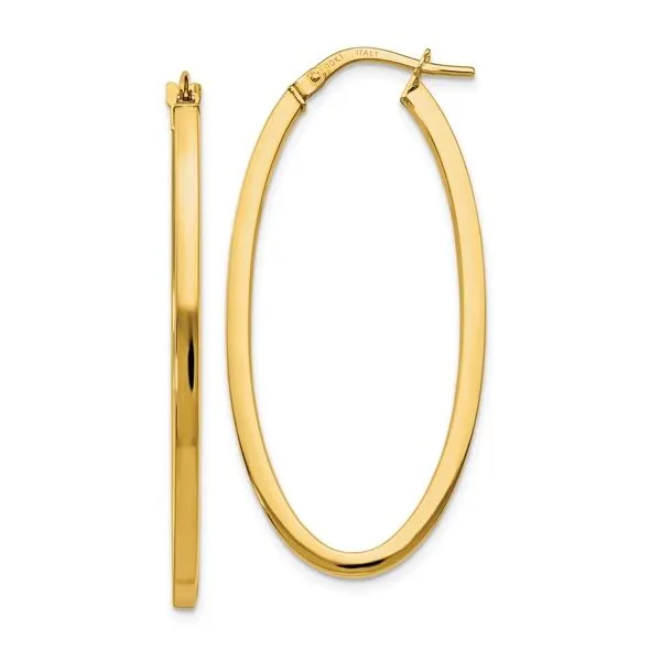 Gold Earrings Alexander Fine Jewelers Fort Gratiot, MI
