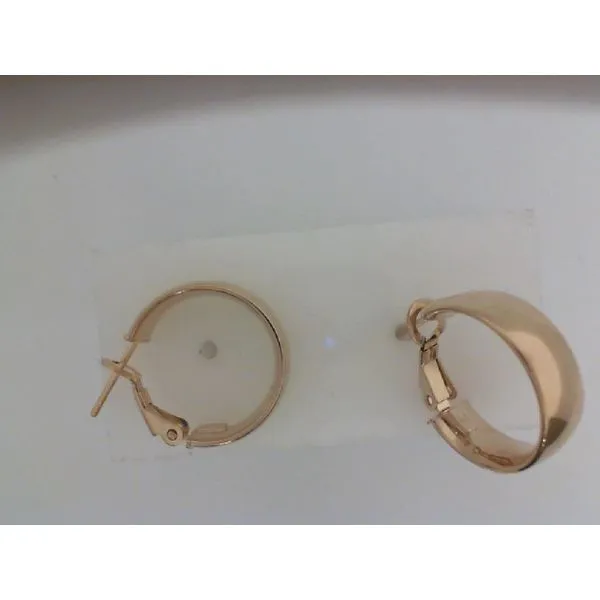 Gold Earrings Alexander Fine Jewelers Fort Gratiot, MI