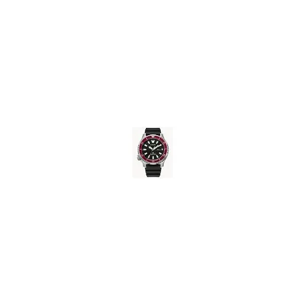Men's Citizen Watch Alexander Fine Jewelers Fort Gratiot, MI