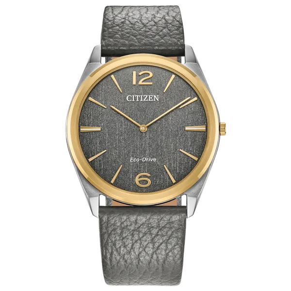 Men's Citizen Watch Alexander Fine Jewelers Fort Gratiot, MI